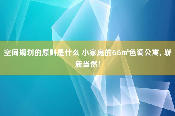 空间规划的原则是什么 小家庭的66㎡色调公寓, 崭新当然!