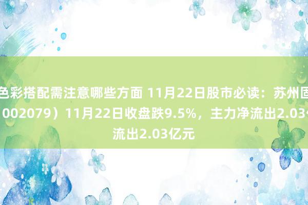 色彩搭配需注意哪些方面 11月22日股市必读：苏州固锝（002079）11月22日收盘跌9.5%，主力净流出2.03亿元