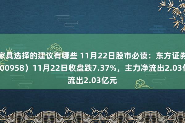 家具选择的建议有哪些 11月22日股市必读：东方证券（600958）11月22日收盘跌7.37%，主力净流出2.03亿元