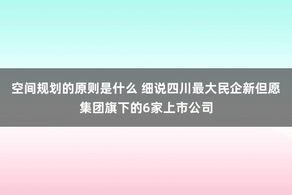 空间规划的原则是什么 细说四川最大民企新但愿集团旗下的6家上市公司