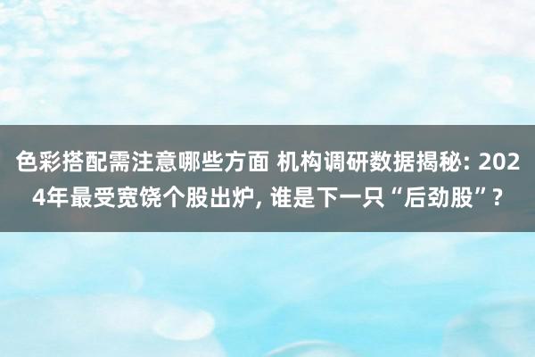 色彩搭配需注意哪些方面 机构调研数据揭秘: 2024年最受宽饶个股出炉, 谁是下一只“后劲股”?