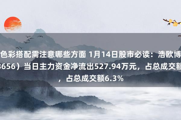 色彩搭配需注意哪些方面 1月14日股市必读：浩欧博（688656）当日主力资金净流出527.94万元，占总成交额6.3%