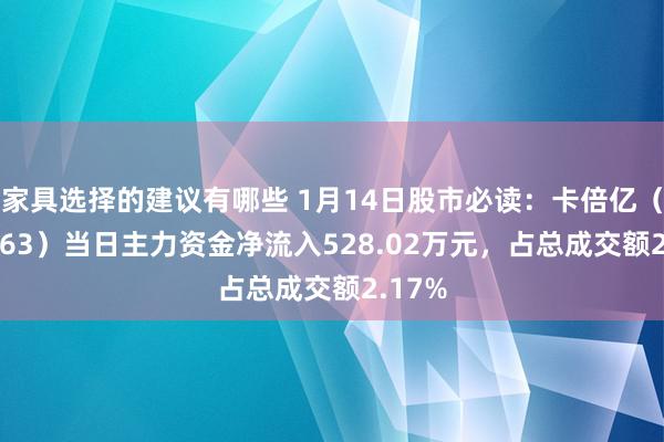 家具选择的建议有哪些 1月14日股市必读：卡倍亿（300863）当日主力资金净流入528.02万元，占总成交额2.17%