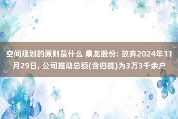 空间规划的原则是什么 鼎龙股份: 放弃2024年11月29日, 公司推动总额(含归拢)为3万3千余户