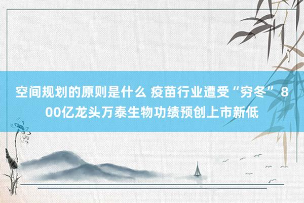 空间规划的原则是什么 疫苗行业遭受“穷冬” 800亿龙头万泰生物功绩预创上市新低