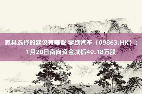 家具选择的建议有哪些 零跑汽车（09863.HK）：1月20日南向资金减抓49.18万股