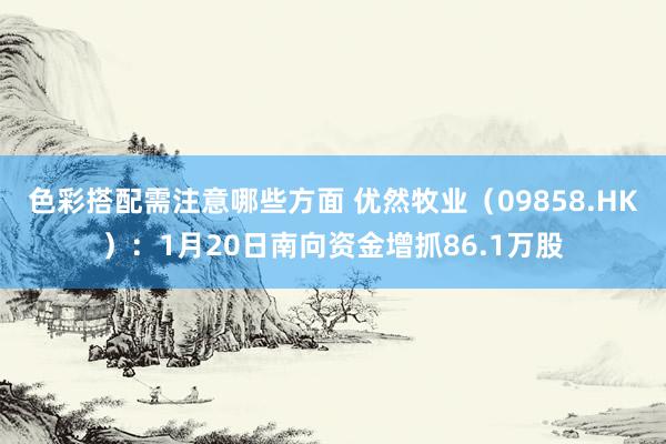 色彩搭配需注意哪些方面 优然牧业（09858.HK）：1月20日南向资金增抓86.1万股