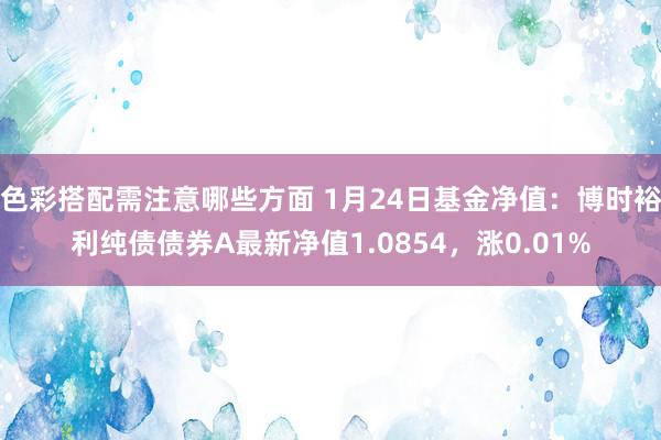 色彩搭配需注意哪些方面 1月24日基金净值：博时裕利纯债债券A最新净值1.0854，涨0.01%