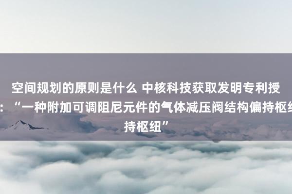 空间规划的原则是什么 中核科技获取发明专利授权：“一种附加可调阻尼元件的气体减压阀结构偏持枢纽”