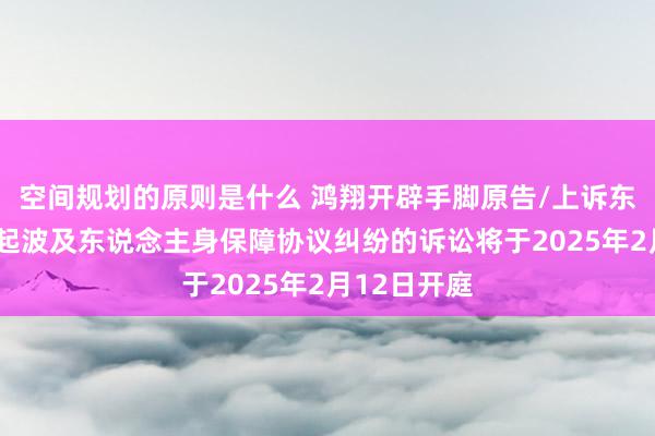 空间规划的原则是什么 鸿翔开辟手脚原告/上诉东说念主的1起波及东说念主身保障协议纠纷的诉讼将于2025年2月12日开庭