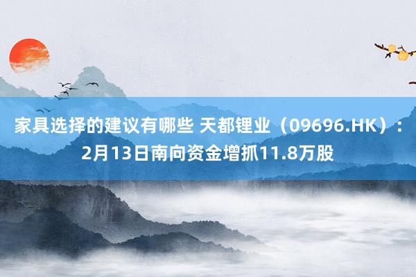 家具选择的建议有哪些 天都锂业（09696.HK）：2月13日南向资金增抓11.8万股