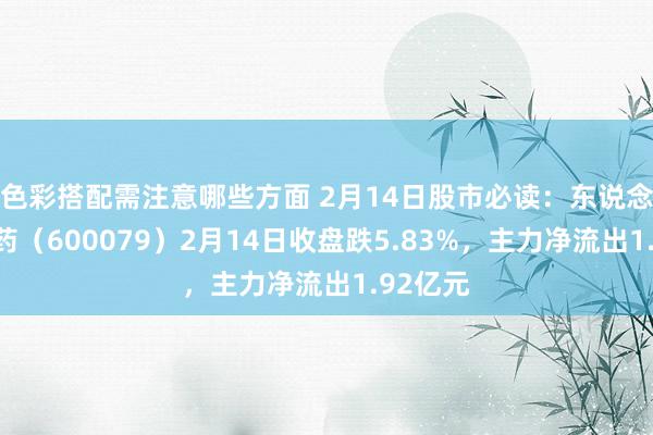 色彩搭配需注意哪些方面 2月14日股市必读：东说念主福医药（600079）2月14日收盘跌5.83%，主力净流出1.92亿元