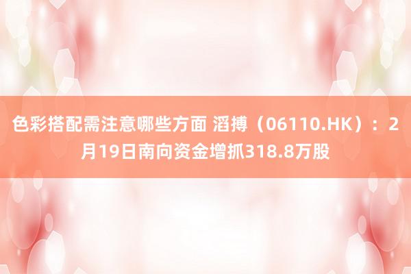 色彩搭配需注意哪些方面 滔搏（06110.HK）：2月19日南向资金增抓318.8万股