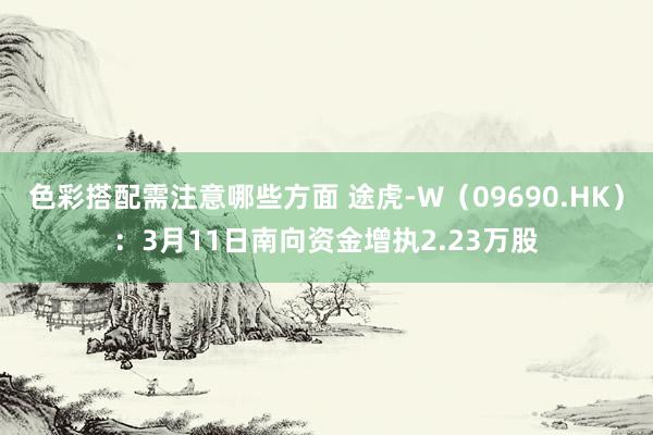 色彩搭配需注意哪些方面 途虎-W（09690.HK）：3月11日南向资金增执2.23万股