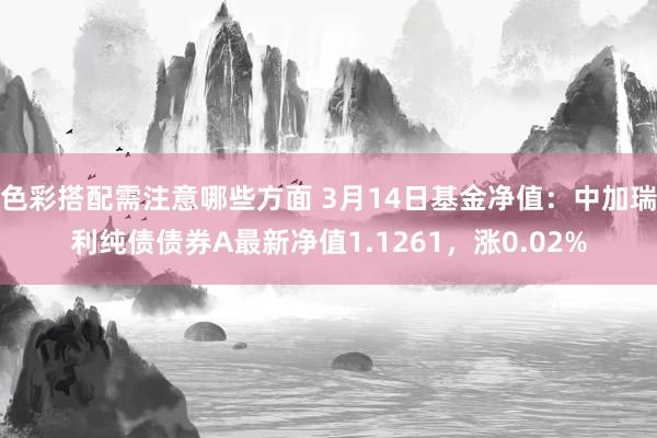 色彩搭配需注意哪些方面 3月14日基金净值：中加瑞利纯债债券A最新净值1.1261，涨0.02%