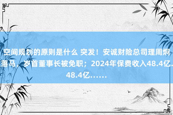 空间规划的原则是什么 突发！安诚财险总司理周炯任上落马，岁首董事长被免职；2024年保费收入48.4亿……